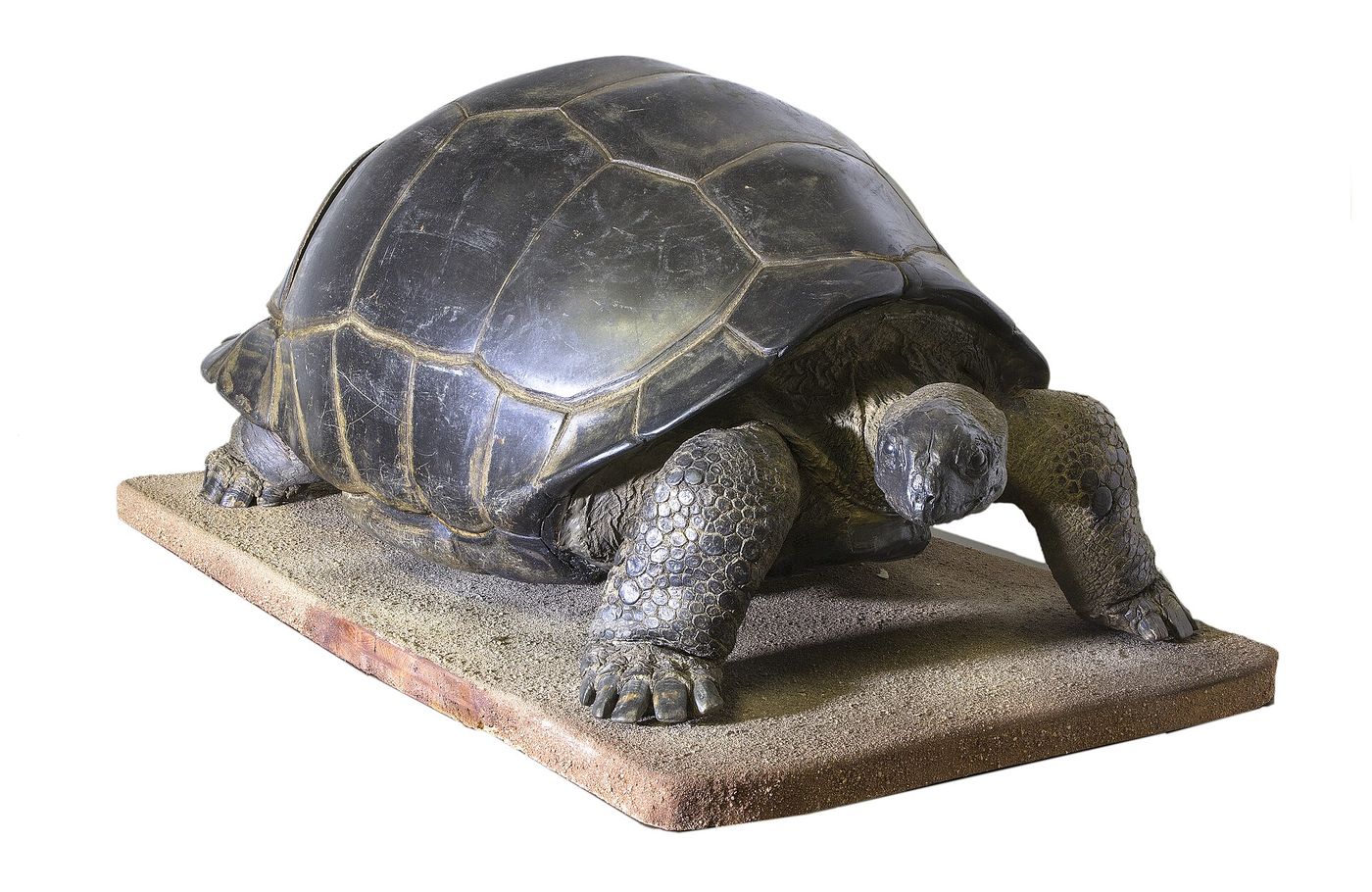 Aldabra's Giant Tortoises Number About 180,000, the Largest Population Estimate on Record