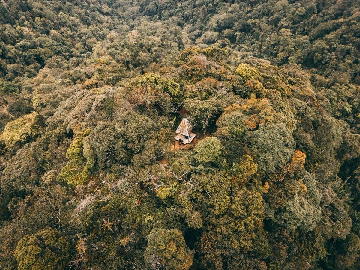HP and WWF Have Now Protected and Restored More Than 600,000 Acres of Forest, With Viet Nam and Mexico Next